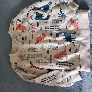 Boys dinosaur sweatshirt